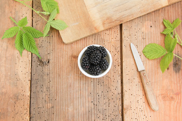 Brombeeren Brombeere Beeren Früchte Wildfrüchte sammeln Herbst