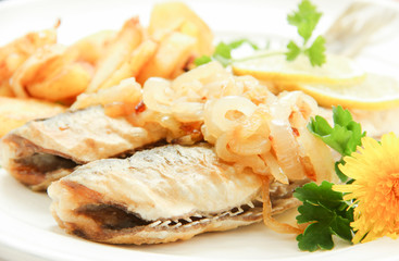 Hering Fisch frisch gebraten Grüner Hering Grün 
