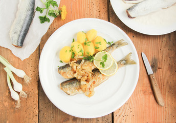 gebratene Heringe mit Salzkartoffeln Grüner Hering Grün