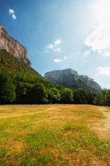 mountain landscape in the summer, sunny afternoon. wonderful springtime landscape in mountains. grassy field and rolling hills. rural scenery
