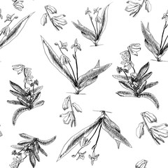 Botanical seamless pattern. The first spring flowers hand drawn on white. Use for fabric, wrapping paper, wallpaper. Scilla, Scylla
