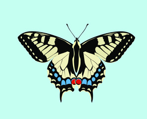 Papilio machaon, the Old World swallowtail, is a butterfly of the family Papilionidae. Named for Machaon a figure in Greek mythology. He was a son of Asclepius. 