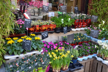 colorful flowers in the market
