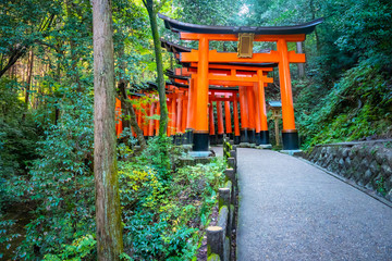 Fototapeta na wymiar Japan. Temple of the thousand gates in Kyoto. The Fushimi Inari Shrine. Orange gate in the forest on mount Inariyama. Passage to the gate of the goddess Inari. Guide to Japan. Japanese temples.