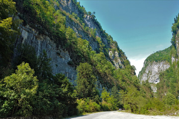 Picturesque gorge in Abkhazia. The road passes between steep rocky cliffs. The slopes are covered with bright green plants. Summer sunny day.