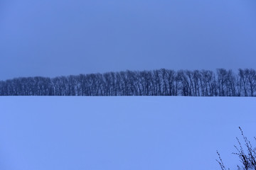 snow-covered expanse of field with trees