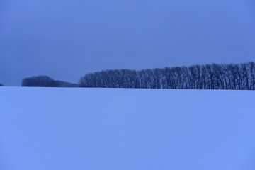snow-covered expanse of field with trees