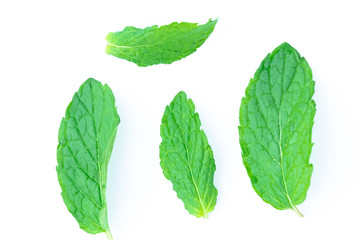 Closeup Green Mint leaves isolated on white background, Mint Clipping Path, flat lay and soft focus