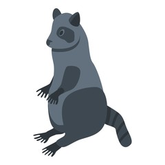 Cute raccoon icon. Isometric of cute raccoon vector icon for web design isolated on white background