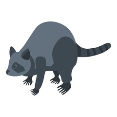 Domestic raccoon icon. Isometric of domestic raccoon vector icon for web design isolated on white background