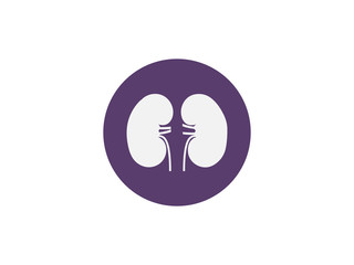 Kidneys, medical, organ icon. Vector illustration, flat design.