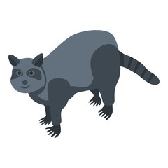 Wild raccoon icon. Isometric of wild raccoon vector icon for web design isolated on white background