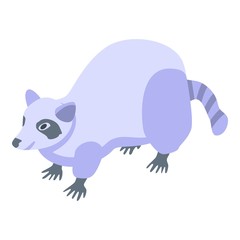 Raccoon mammal icon. Isometric of raccoon mammal vector icon for web design isolated on white background