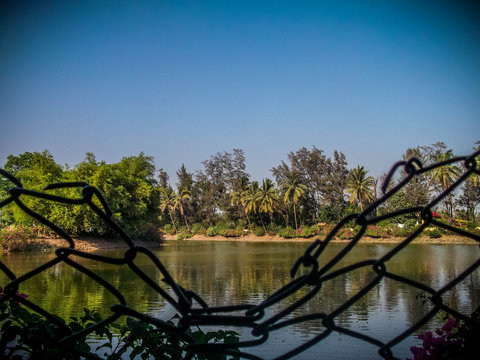 lake in the park