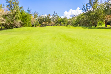 golf course in the morning