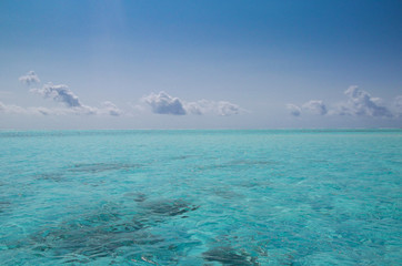 Fototapeta na wymiar Tropical sea with crystal clear water.