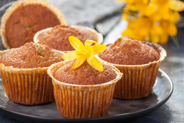   Orange muffins closeup with yellow crocus flower