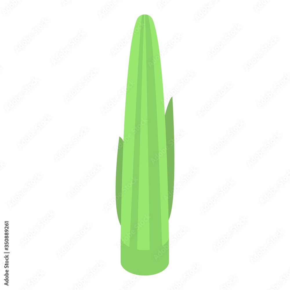 Poster crocus leaf icon. isometric of crocus leaf vector icon for web design isolated on white background