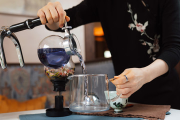Tea siphon. Brewing purple flower tea in a siphonpurple