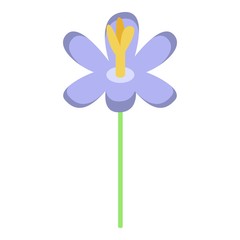 Violet flower icon. Isometric of violet flower vector icon for web design isolated on white background