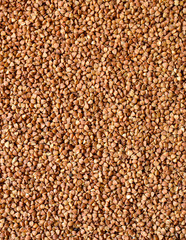 The texture of buckwheat. Raw buckwheat closeup. Top view