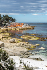 Bay of Fires, Tasmania