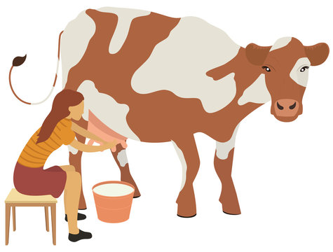 recommend clip art: Woman milks a cow vector illustration