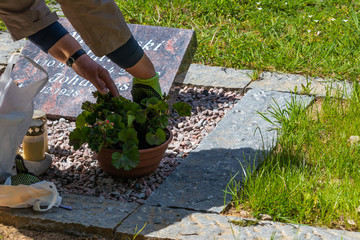 Grabpflege auf dem Friedhof