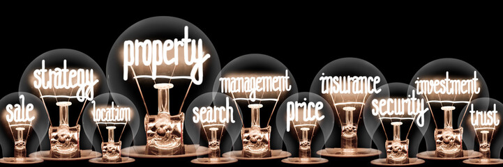 Light Bulbs with Property Concept