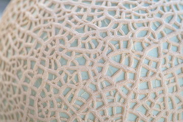 マスクメロンの皮のアップ　メロンの網目模様