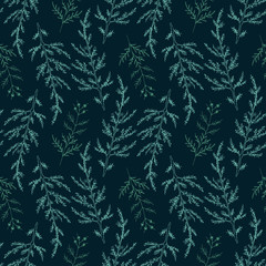Herbal natural seamless pattern, hand drawing isolated. Branches of sage and herbs black lines on dark background. For textiles, wrapping paper, wallpaper. Vector illustration