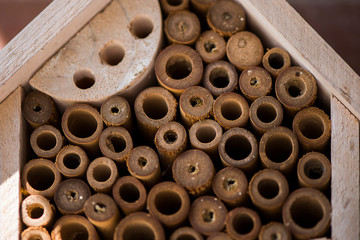 Insektenhotel, Natur
