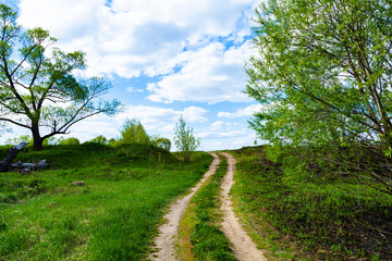 Fototapeta na wymiar Beautiful spring landscape with a dirt road. Sunny day.