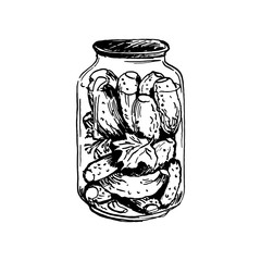 pot of salt cucumbers and parts of recipe. hand drawn ink sketch. vector illustration