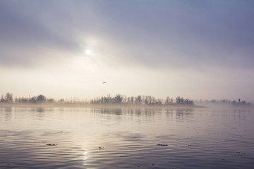 Obraz premium sunrise over the river