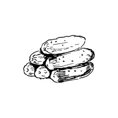 mess of fresh cucumbers. hand drawn ink sketch. vector illustration