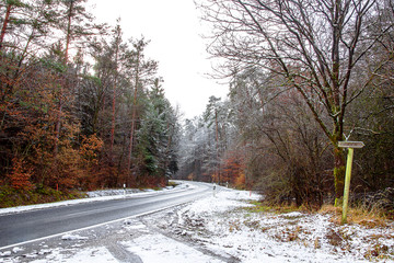 Bavarian forest