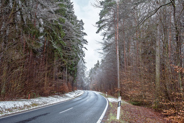 Bavarian forest