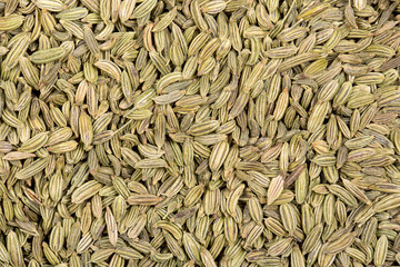 Fennel seeds