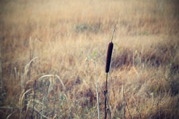 Hechtmoor im Herbst 2019