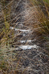 Hechtmoor im Herbst 2019