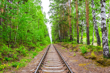 Railway in the forest on a spring day.