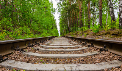 Railway in the forest on a spring day.
