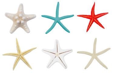 Many natural starfish isolated on white background, sea stars collection.