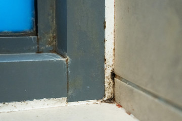 Old plastic window frame in the shower. Moldy angle, fungus. Problem areas shower.