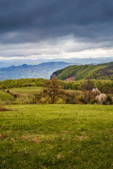 Green valley nature landscape.