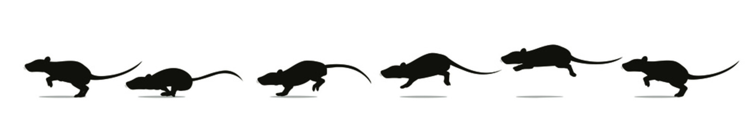 Full cycle of rat or mouse running animation. Vector illustration, silhouettes.