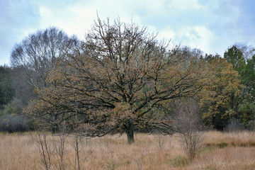 Hechtmoor im Herbst 2019