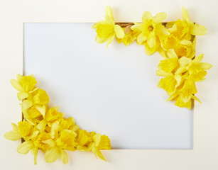 Paper frame wreath pattern with yellow narcissus. Floral composition for greeting card, mothers, easter day. mockup, top view