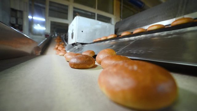 hot freshly baked Burger buns ride on a conveyor belt against the background of a bread factory or bakery